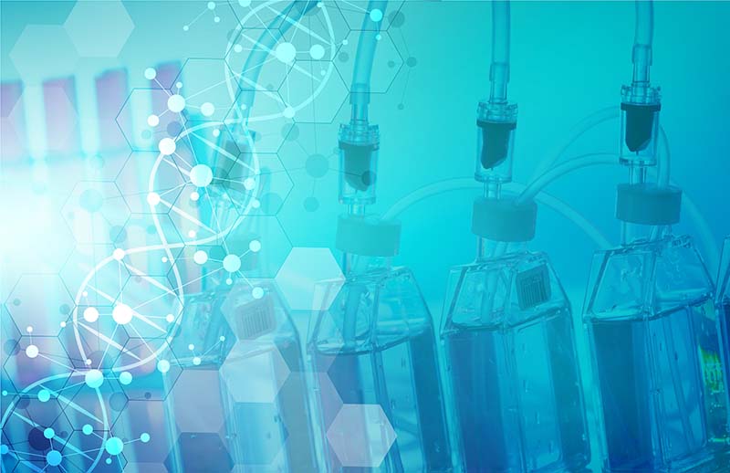 什么是培養基？培養基分為哪三大類？